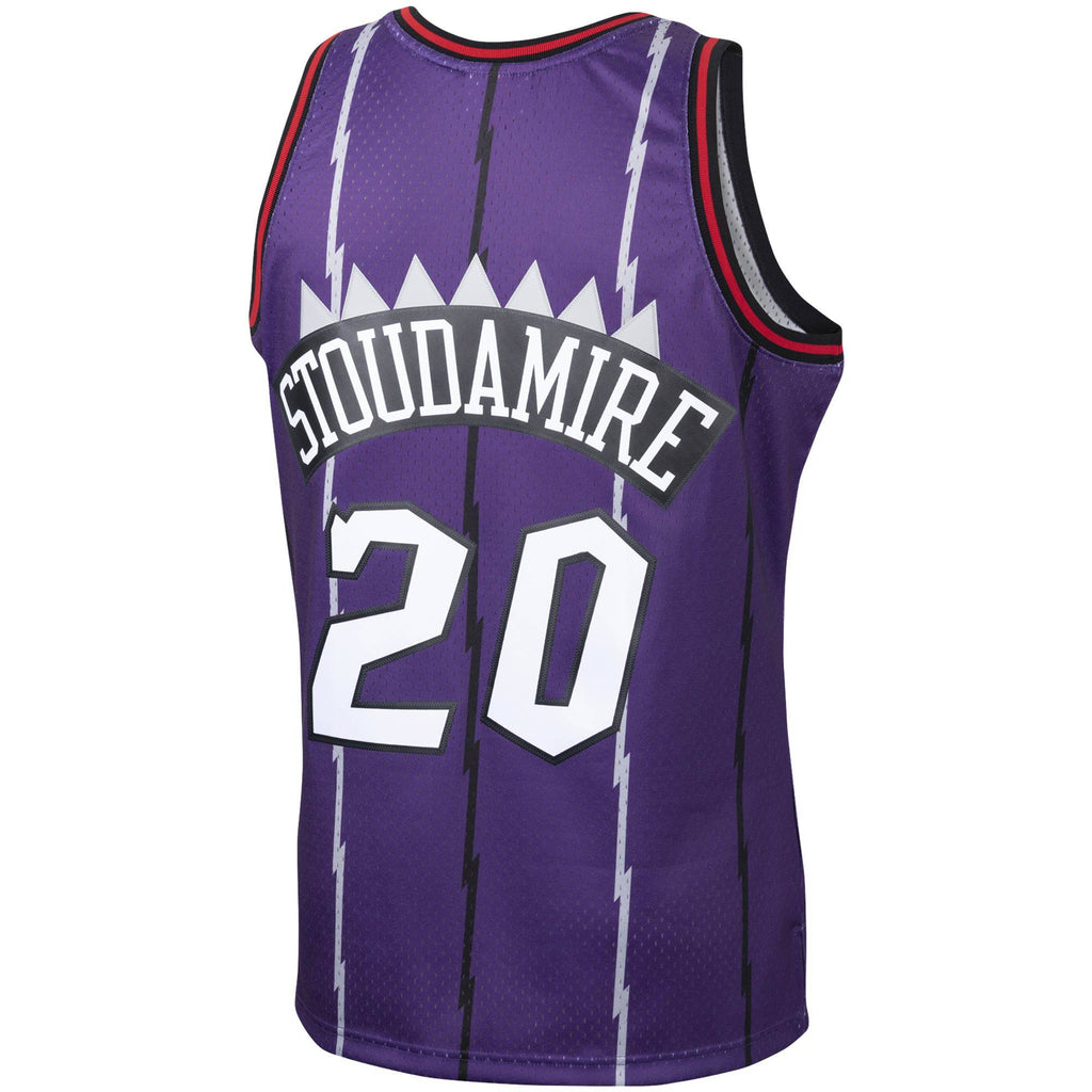 Men's Damon Stoudamire Toronto Raptors Mitchell & Ness 1995-96 Hardwood Classics Swingman Jersey - Purple
