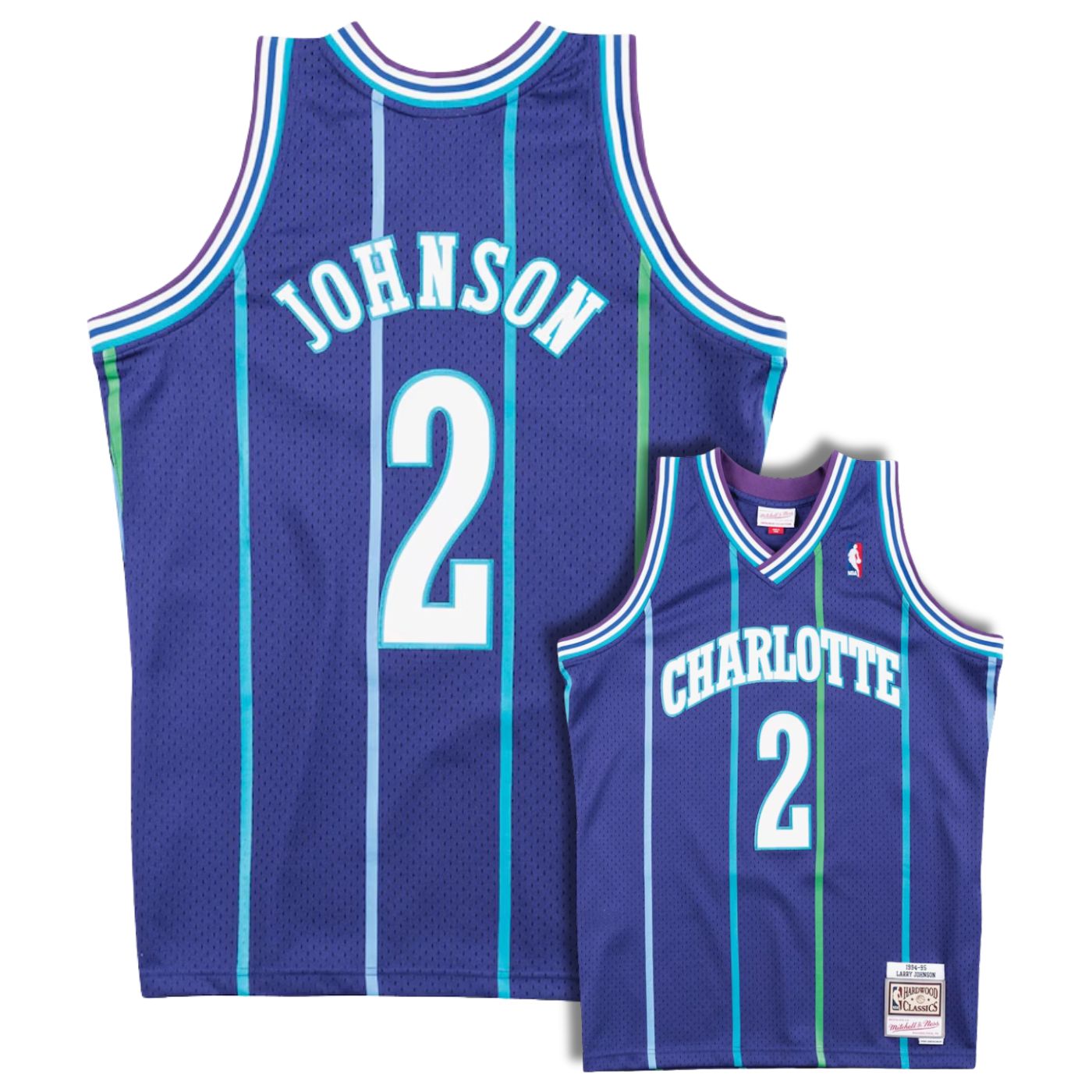 Charlotte Hornets Larry Johnson Purple 1994-95 Hardwood Classics Swingman Jersey