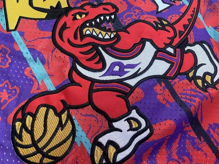 Vince Carter Toronto Raptors 1998/99 Hardwood Classics  Lunar New Year Jersey - Purple