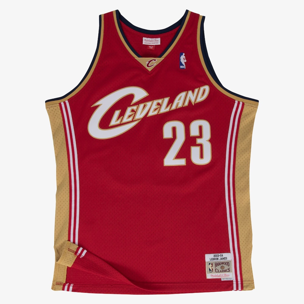 Cleveland Cavaliers Swingman Jersey Road Lebron James 2003 04 | Stitched Jersey RTJS 11893